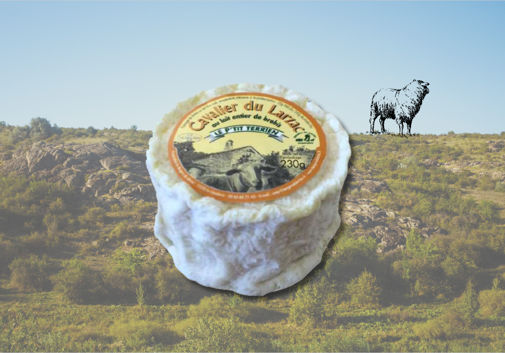 Fromage - Cavalier du Larzac - disponible chez prolactine france